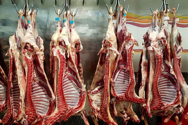 قیمت جدید گوشت گوسفندی در بازار 