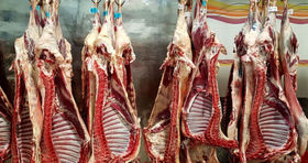 قیمت گوشت در بازار امروز مشخص شد