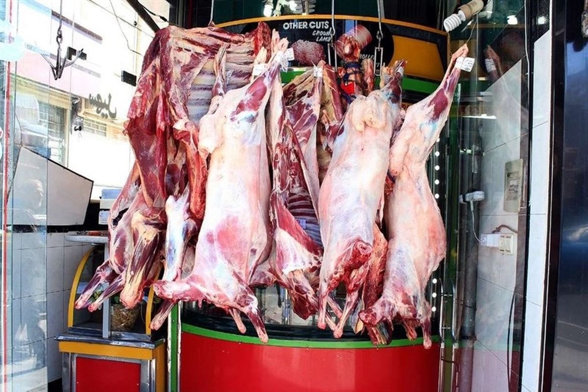 قیمت گوشت گوسفندی به ۵۶۰.۰۰۰ تومان رسید