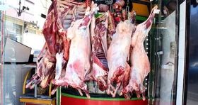 قیمت گوشت گوسفندی به ۵۶۰.۰۰۰ تومان رسید