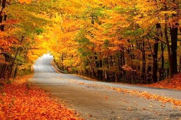 عکس / با آغاز پاییز کجای جهان بهار می‌شود؟ 