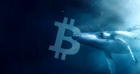 نهنگ‌های بیت کوین در بازار ارزها به حرکت درآمده‌اند!