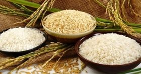 برنج هندی با قیمت جدید به بازار رسید (۲۶ مرداد)