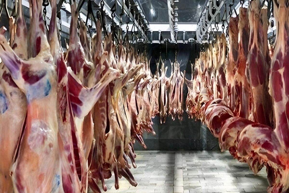 کاهش قیمت گوشت قرمز در بازار /  مشکلی در تامین گوشت در زمستان بوجود ندارد