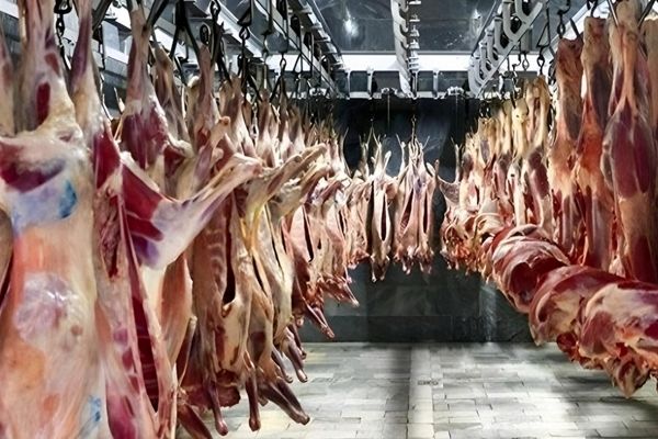 کاهش قیمت گوشت قرمز در بازار /  مشکلی در تامین گوشت در زمستان بوجود ندارد