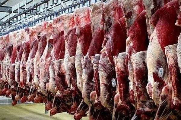 بازار آرام گوشت قرمز / قیمت مرغ تغییر نمی‌کند