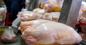 قیمت گوشت مرغ افزایش یافت / کمبودی برای تأمین گوشت مرغ وجود ندارد