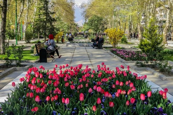 ۹ بوستان در تهران تعطیل شد