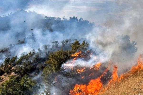 آخرین وضعیت آتش سوزی جنگال های مریوان