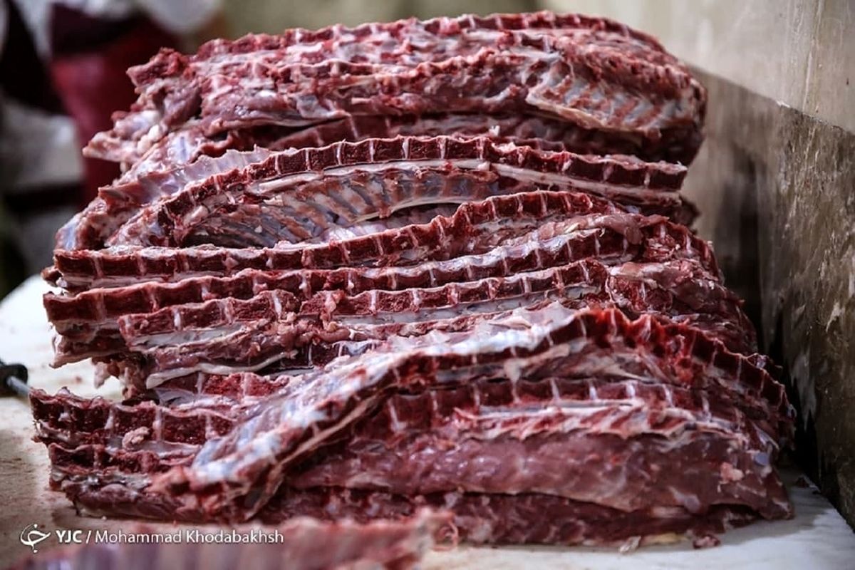 ظرفیت یک میلیون تنی تولید گوشت قرمز در کشور / نیازی به واردات گوشت نداریم