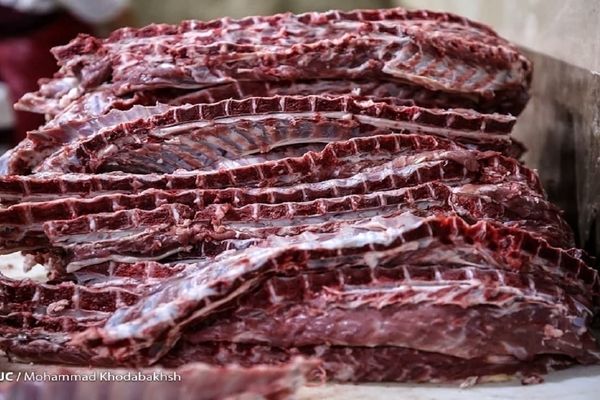 ظرفیت یک میلیون تنی تولید گوشت قرمز در کشور / نیازی به واردات گوشت نداریم