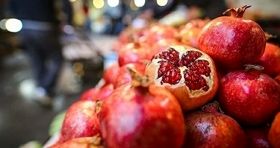 تغییر قیمت میوه ها در میادین تره بار / قیمت ۵۴ قلم میوه و سبزی تغییر کرد 
