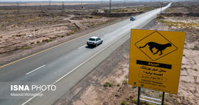 کاهش سرعت مجاز در «جاده مرگ»