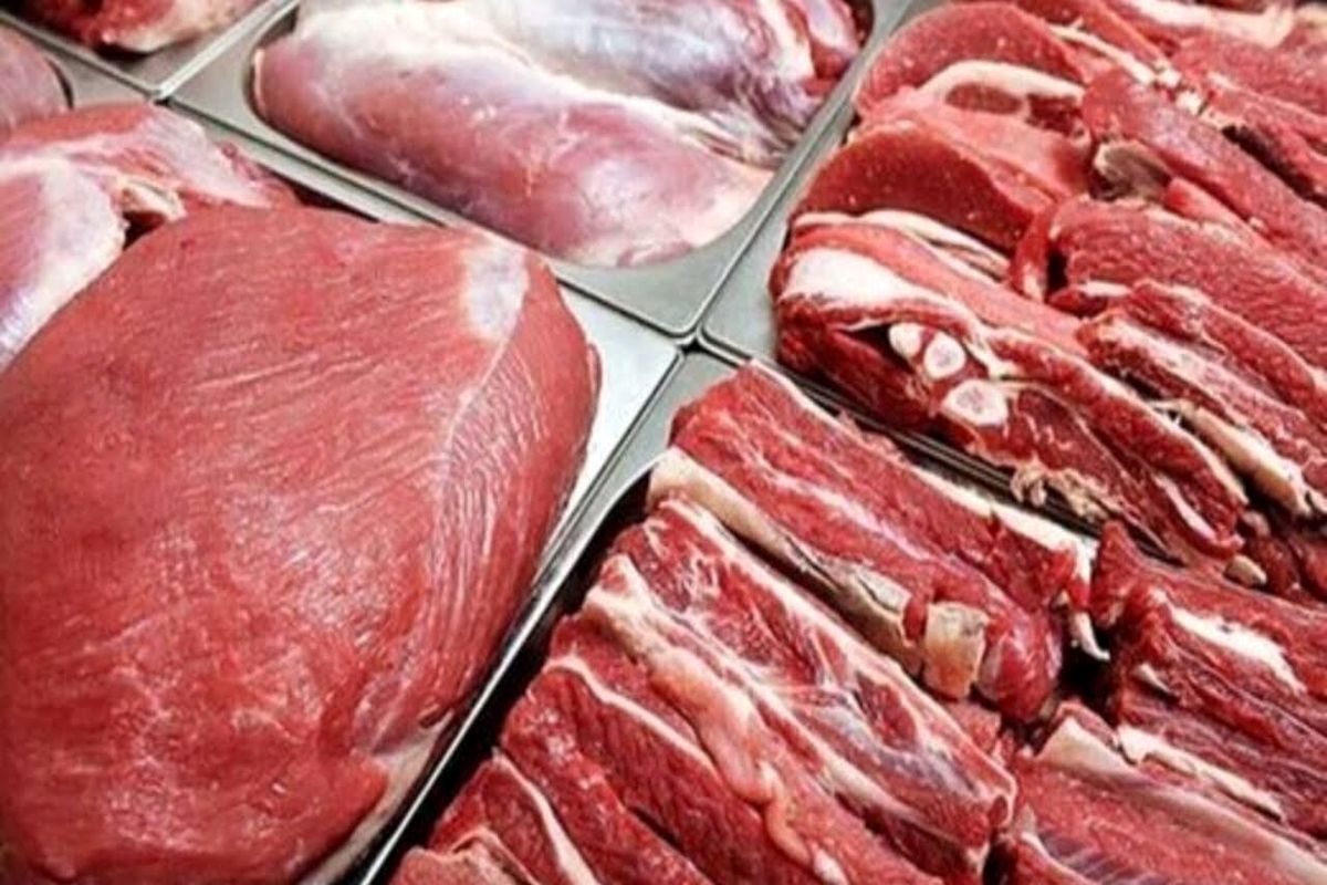 ارزانی گوشت در راه است / راهکارکاهش قیمت گوشت قرمز اعلام شد