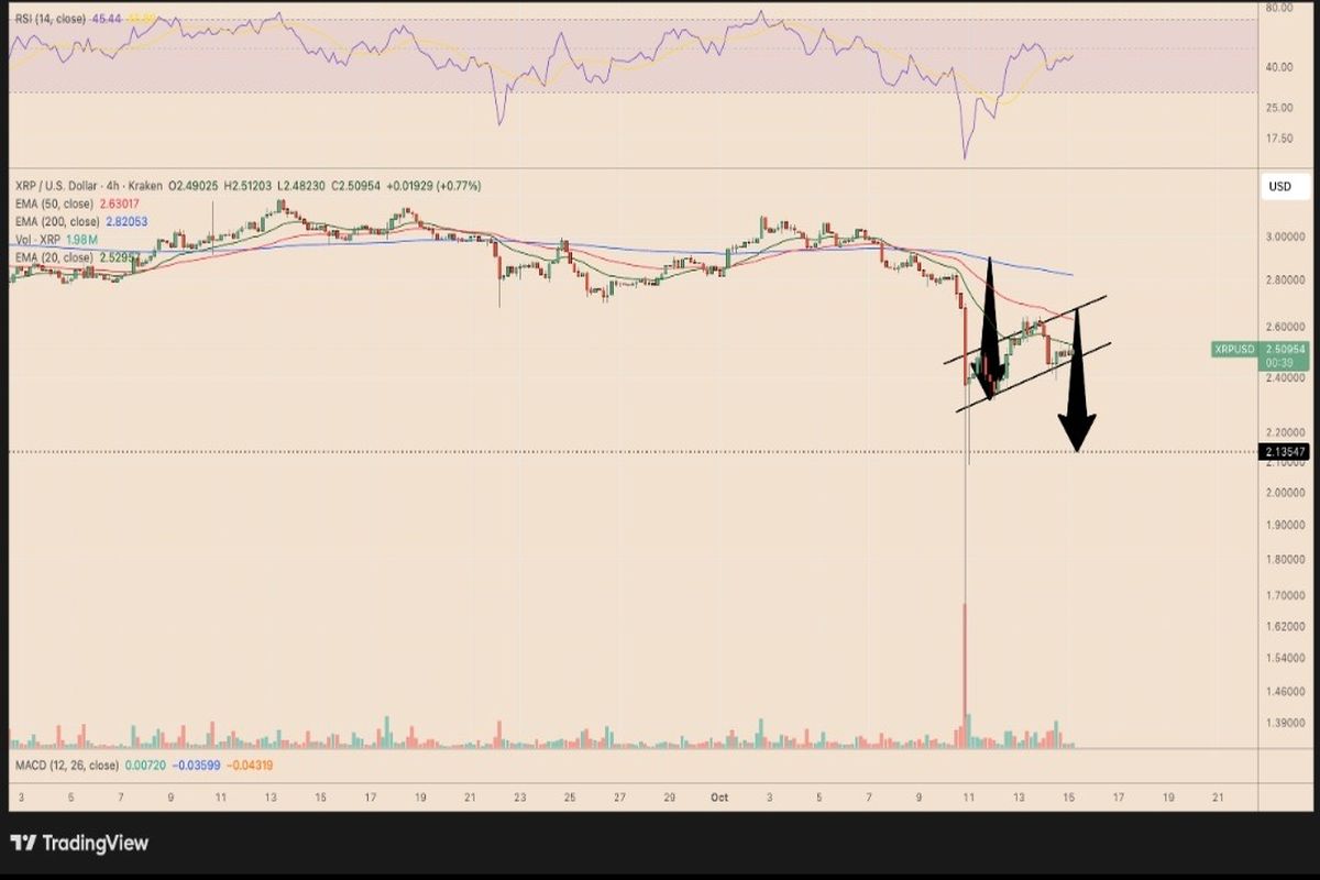 آیا ریپل در آستانه‌ جهش قیمتی قرار دارد؟ بررسی ۳ سناریو کلیدی

