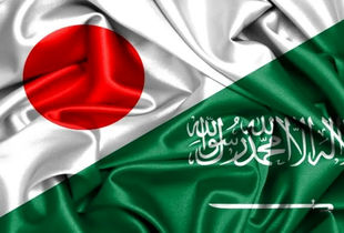 روابط عربستان سعودی و ژاپن تقویت می شود 