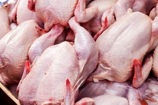 کاهش معنادار قیمت گوشت / هر کیلو سینه مرغ در بازار امروز چند ؟