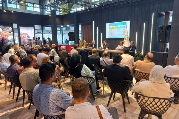 پنل «تجارت گوهرسنگ ها» ظرفیت ها و چالش های صادراتی را بررسی کرد