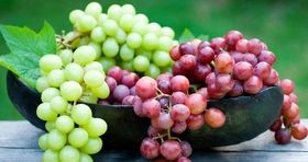 انگور ایرانی به ۷۲ کشور جهان صادر می شود