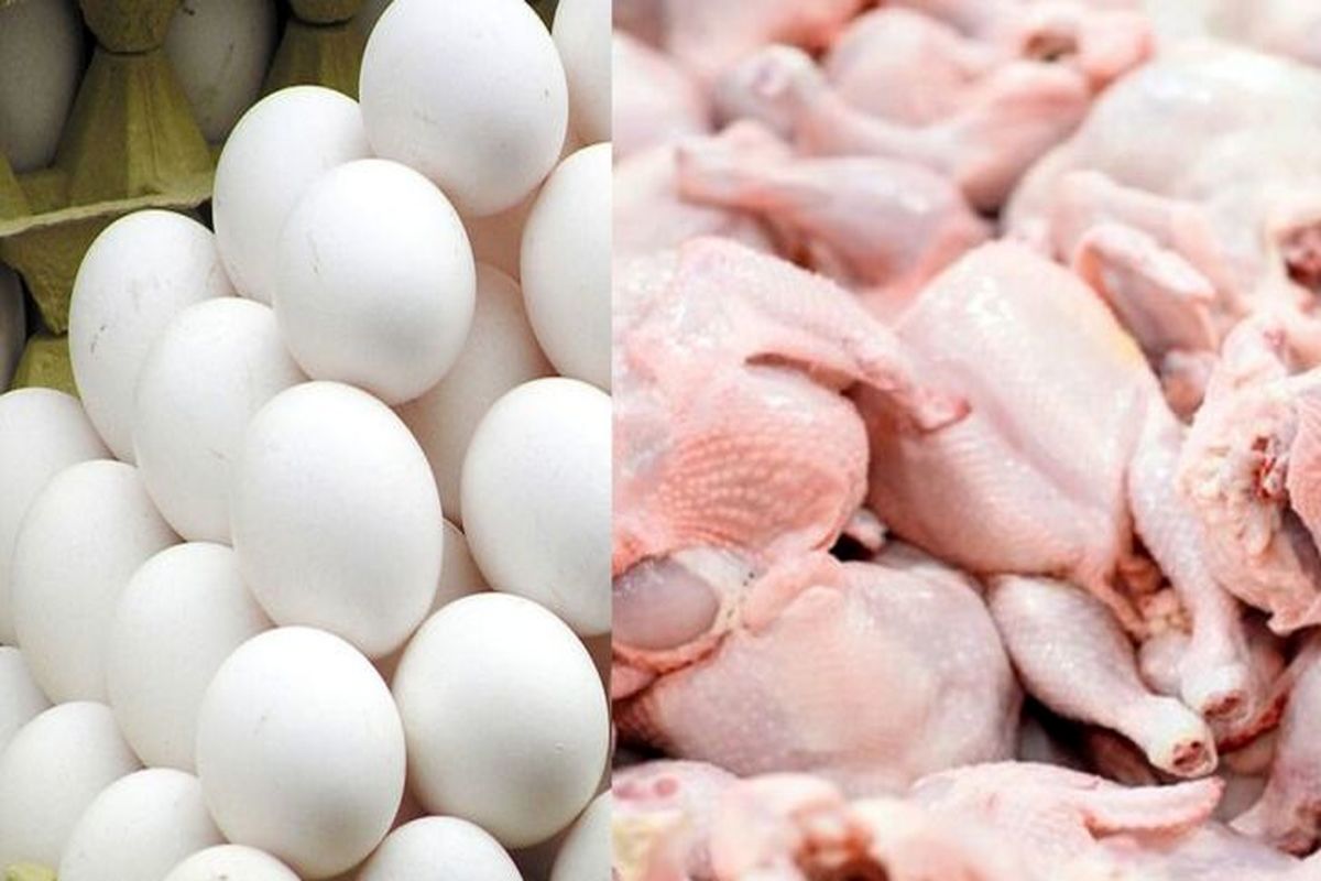 قیمت جدید مرغ در بازار / قیمت تخم مرغ تغییر کرد 