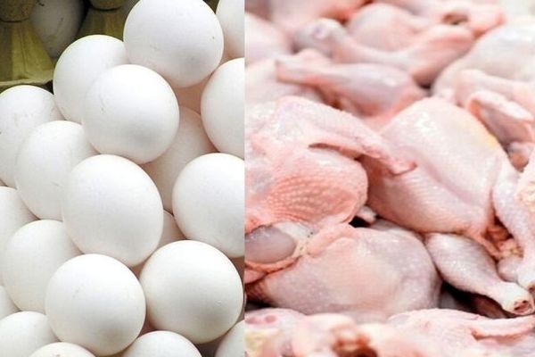 مرغ تغییر قیمت داد / اعلام قیمت جدید تخم مرغ در بازار 