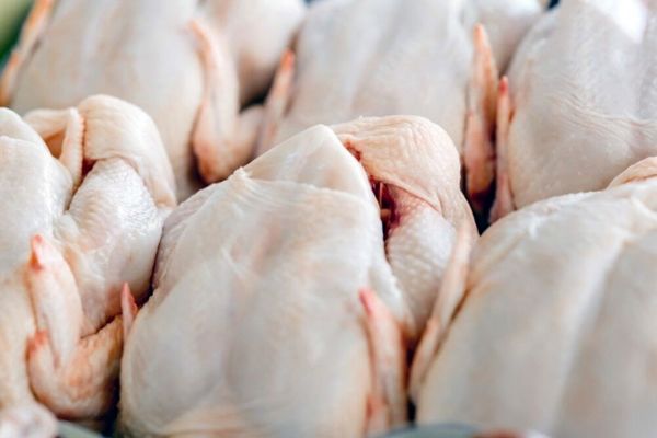 گوشت مرغ با قیمت جدید به بازار آمد (۱۵ اردیبهشت)