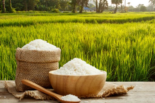 قیمت برنج ایرانی از مرز انفجار عبور کرد (۱۱ خرداد)