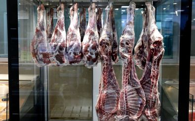 گوشت تانزانیایی در راه ایران / گوشت ارزان می شود؟ 