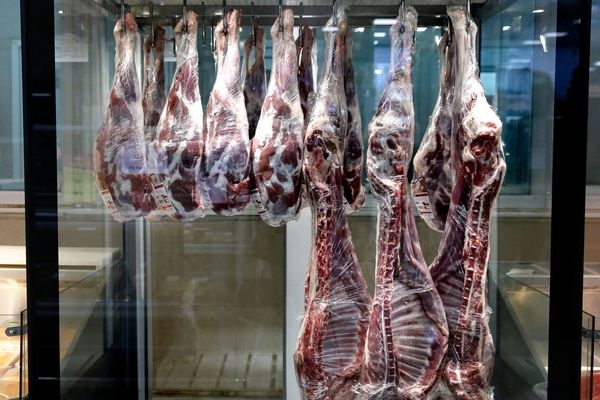اقدامی ویژه برای تنظیم بازار گوشت / زمان ارزانی گوشت فرا رسید؟