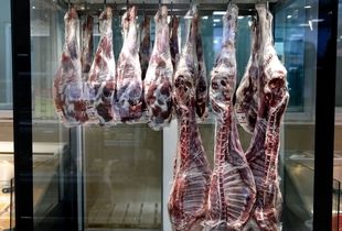 گوشت تانزانیایی در راه ایران / گوشت ارزان می شود؟ 