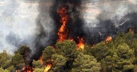 رئیس سازمان مدیریت بحران کشور: از سرایت آتش سوزی به منطقه مرزن‌آباد جلوگیری شد